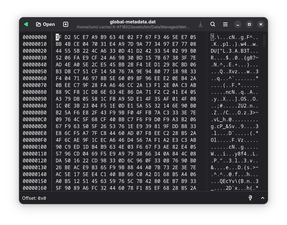Hex view of global-metadata.dat